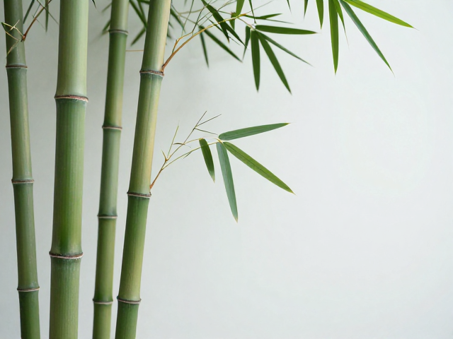 福禄寿竹,以竹之虚心有节,诠释朴素雅致的东方生活美学