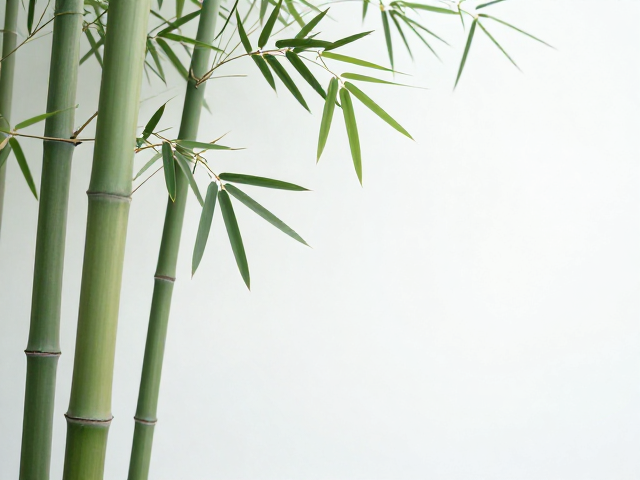 福禄寿竹,以竹之虚心有节,诠释朴素雅致的东方生活美学