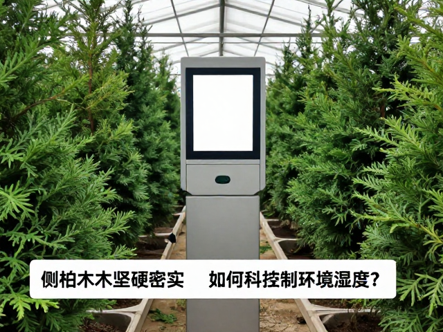 侧柏木质坚硬密实,如何科学控制环境湿度?