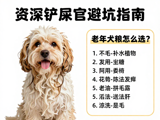 中型犬洗澡吹毛全攻略,老年犬粮怎么选?资深铲屎官避坑指南