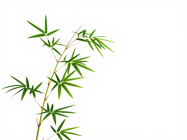 棕竹竹黄不开裂怎么养?3个关键点让叶片油绿
