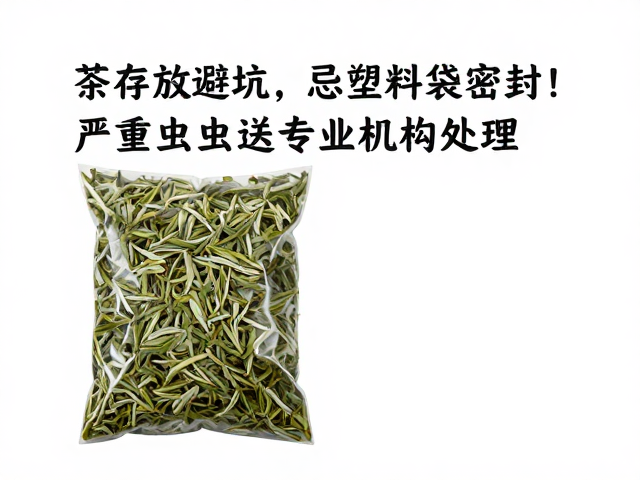 茶叶存放避坑,忌塑料袋密封!严重虫蛀送专业机构处理