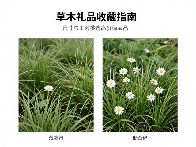 草木花卉礼品收藏指南,看尺寸与工时挑选高价值藏品