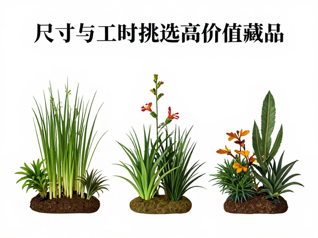 草木花卉礼品收藏指南,看尺寸与工时挑选高价值藏品