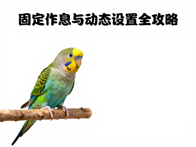 饮食结构的动态平衡与营养补充
