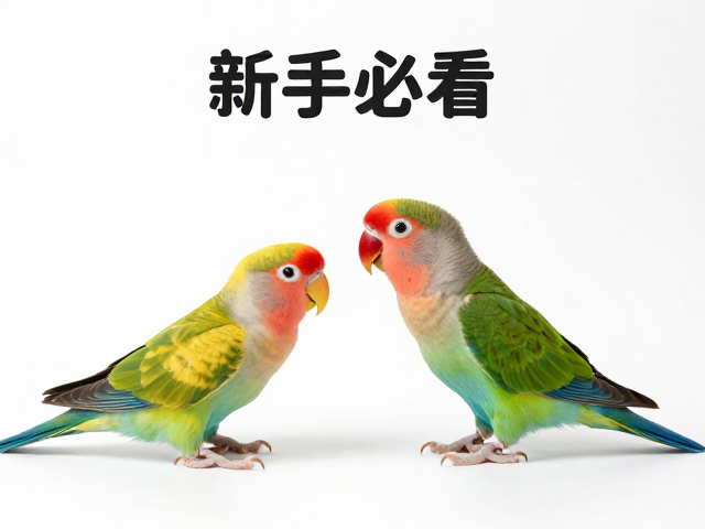 诱导性互动的进阶技巧
