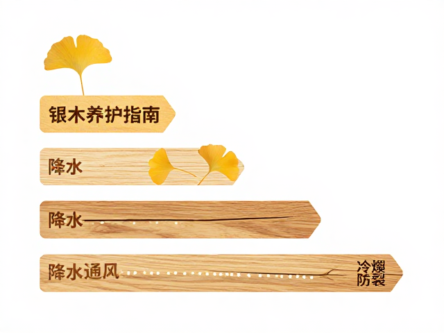 银杏木养护指南,分阶段降水与通风干燥防裂技巧