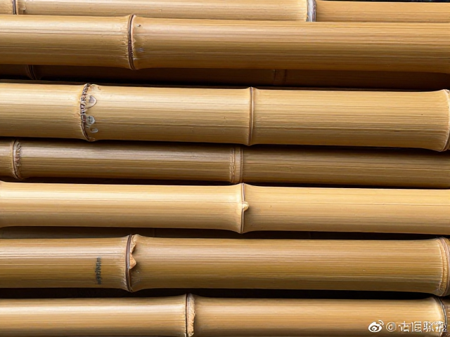 二至三年竹木雕刻棕竹工艺品选购指南与价值解析