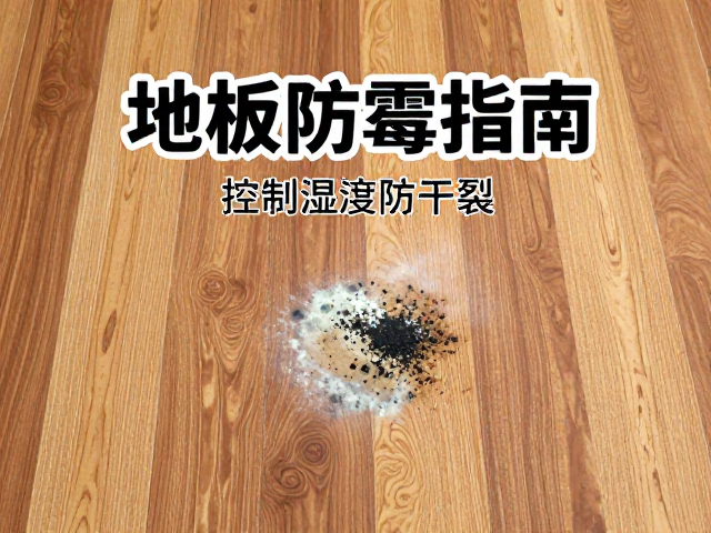 秋季地板防霉指南，控制湿度防干裂，居家保养必看