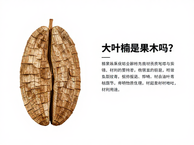 大叶楠是果木吗?详解其纵裂纹理特征与材质用途