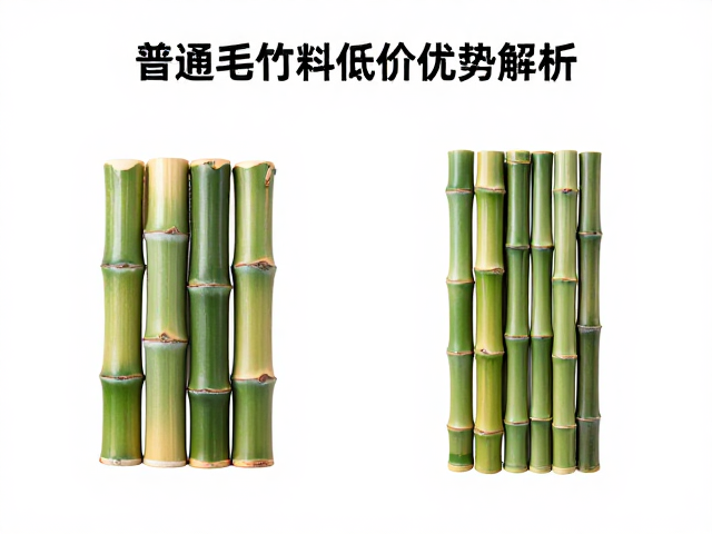 龟纹竹与普通毛竹价格对比,普通毛竹料低价优势解析