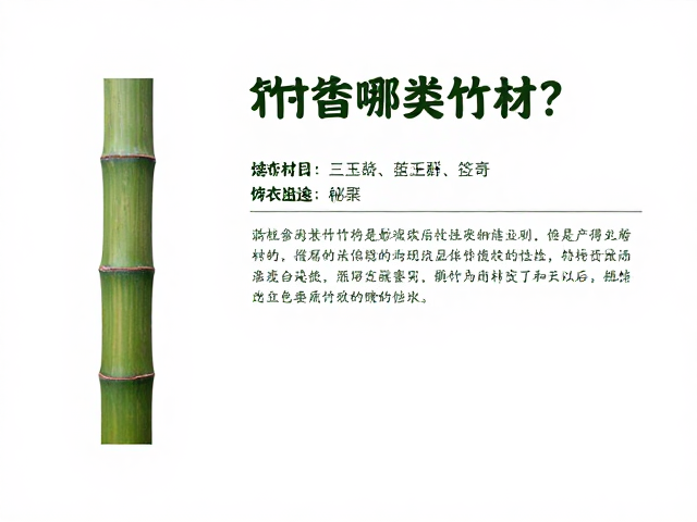 筇竹属于哪类竹材?解析其质地坚韧的特点与用途