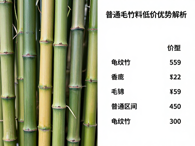 龟纹竹与普通毛竹价格对比,普通毛竹料低价优势解析