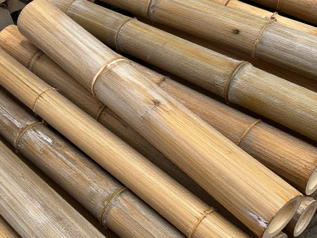 贵州山竹材竹根阴干稳定料为何更受欢迎?揭秘优质选材逻辑