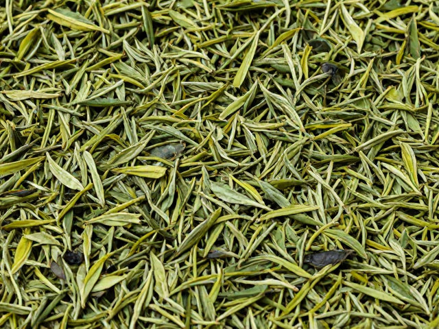 茶叶怎么阴干?避开骤冷骤热,通风是关键