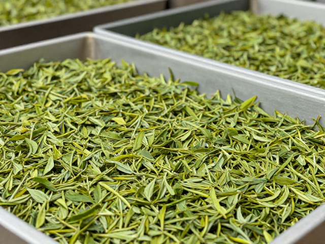 茶叶怎么阴干?避开骤冷骤热,通风是关键
