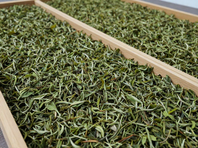 茶叶怎么阴干?避开骤冷骤热,通风是关键