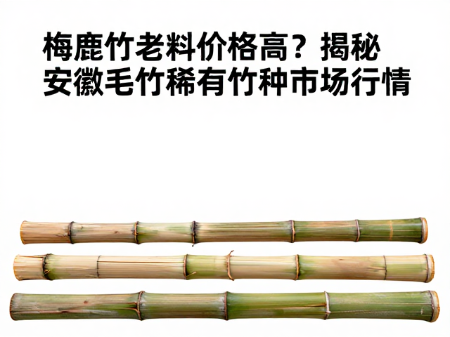 梅鹿竹老料价格高?揭秘安徽毛竹稀有竹种市场行情
