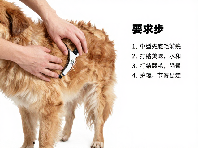 中型犬底毛护理,洗护流程标准化指南,告别打结异味