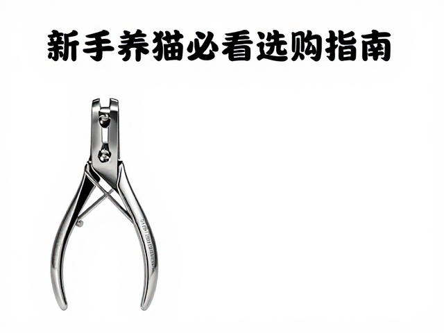 新手养猫必看，指甲钳选购指南与让猫咪熟悉工具气味的技巧