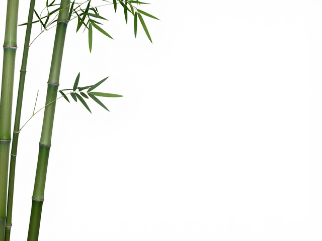 岁寒三友送礼经,师徒口传心授的节庆礼俗与寓意