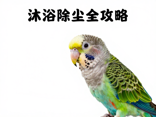 使用频率与清洁效果的科学评估