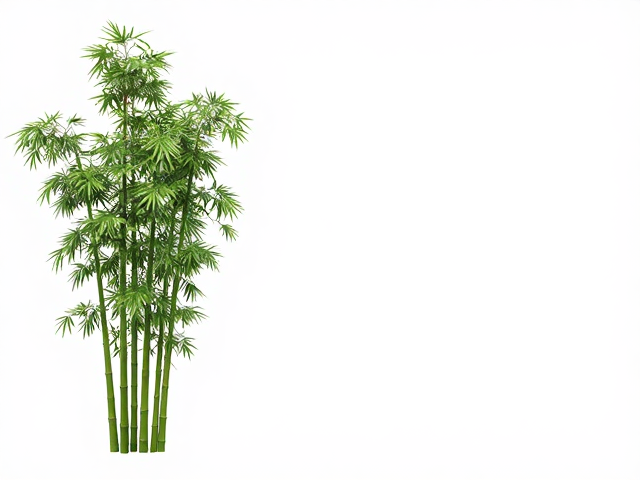 小叶桢楠配青竹,木质坚硬密实的顶级工艺之选