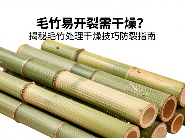 毛竹易开裂需干燥?揭秘毛竹处理干燥技巧防裂指南