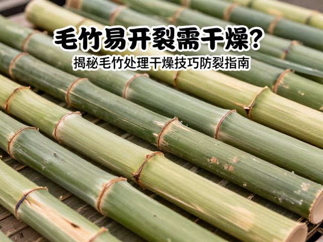 毛竹易开裂需干燥?揭秘毛竹处理干燥技巧防裂指南