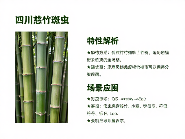 四川慈竹斑纹竹，优质竹材特性与应用全解析