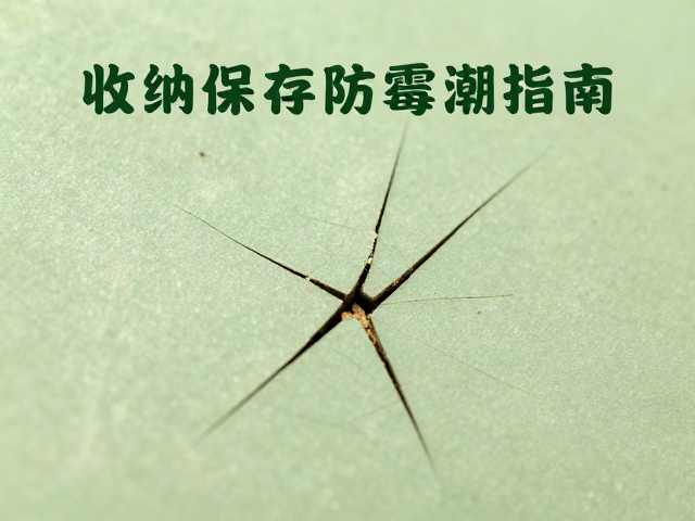 收纳保存防霉防潮指南,裂纹与变形检测技巧,延长物品寿命