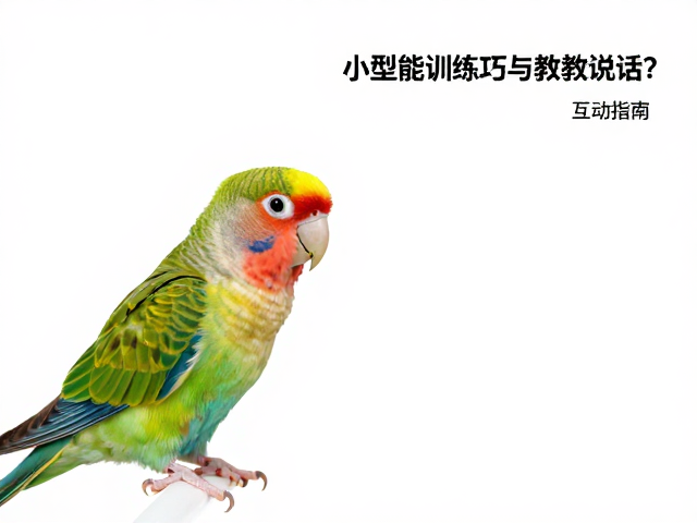 基础词汇的选择与重复强化技巧