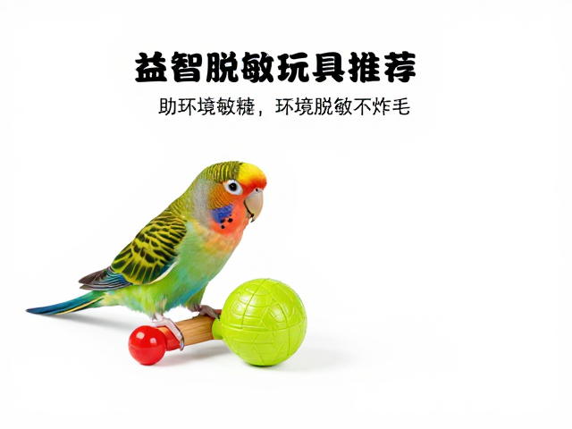 小型鹦鹉益智玩具推荐，助环境脱敏不炸毛