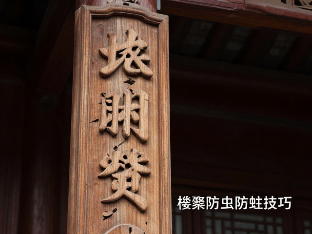 木雕楹联防虫防蛀技巧,助力非遗保护项目传承