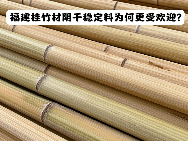 福建桂竹材阴干稳定料为何更受欢迎?揭秘高人气竹材选择