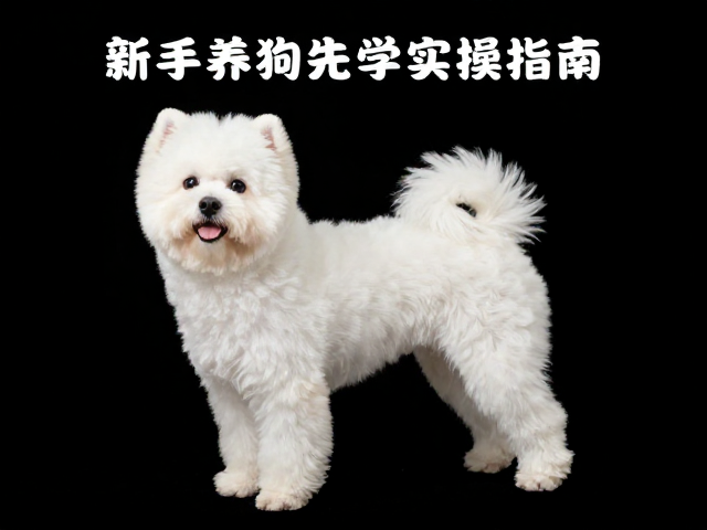快速判断毛质不伤宠：识别与分类