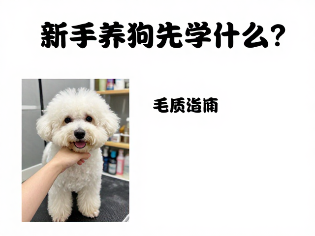 吹干与造型：防止热损伤与打结
