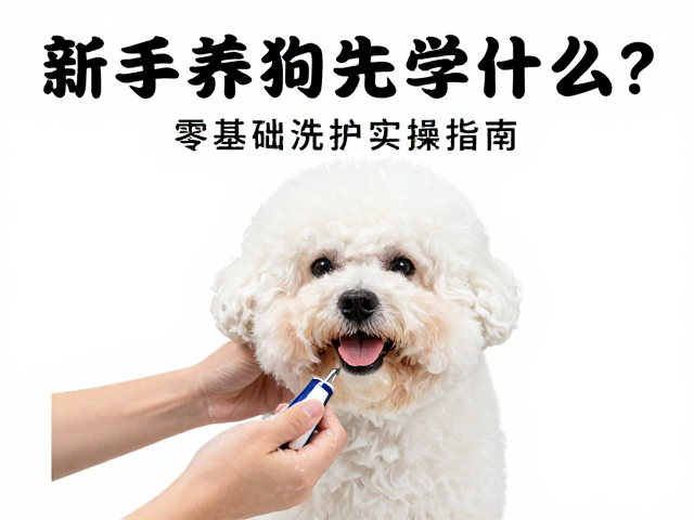 洗护实操中的关键细节：水温与手法