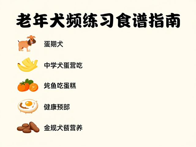 短时高频互动的营养支持方案