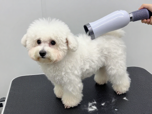蓬松不炸毛的造型与后期定型