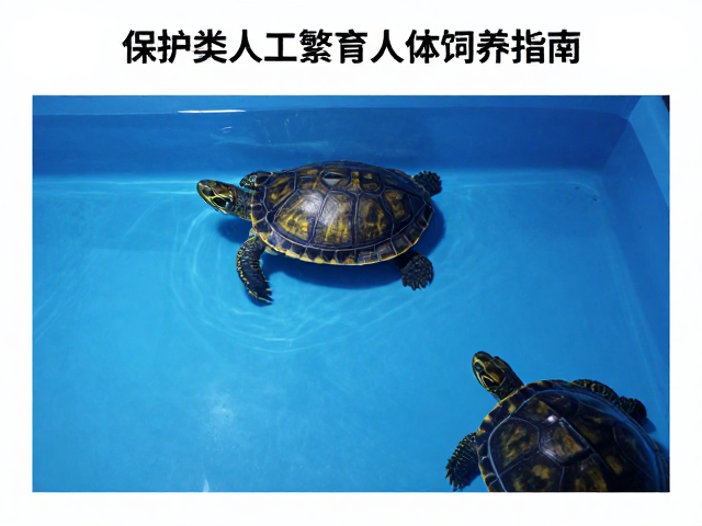 人工饲养环境中温度区域的构建与监测