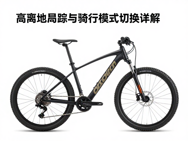 大排拉力机车怎么选？高离地间隙与骑行模式切换详解