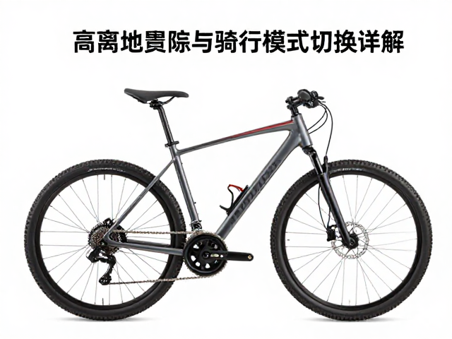大排拉力机车怎么选？高离地间隙与骑行模式切换详解