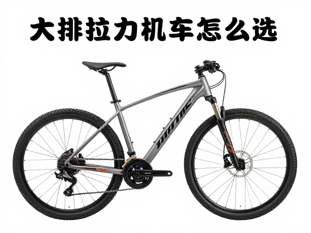 大排拉力机车怎么选？高离地间隙与骑行模式切换详解