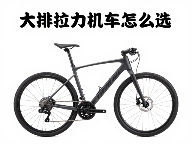 大排拉力机车怎么选?高功率密度,骑行模式切换,全场景征服攻略