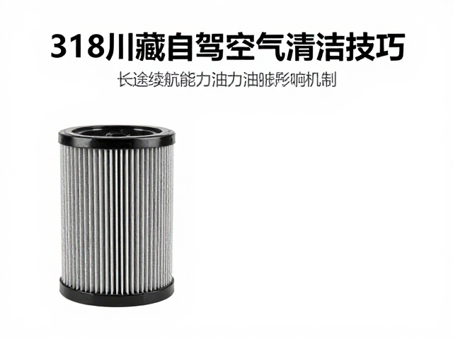 318川藏线自驾，空气滤芯清洁技巧与长途续航能力保障指南