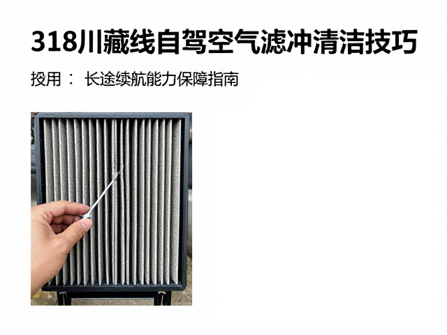 318川藏线自驾，空气滤芯清洁技巧与长途续航能力保障指南