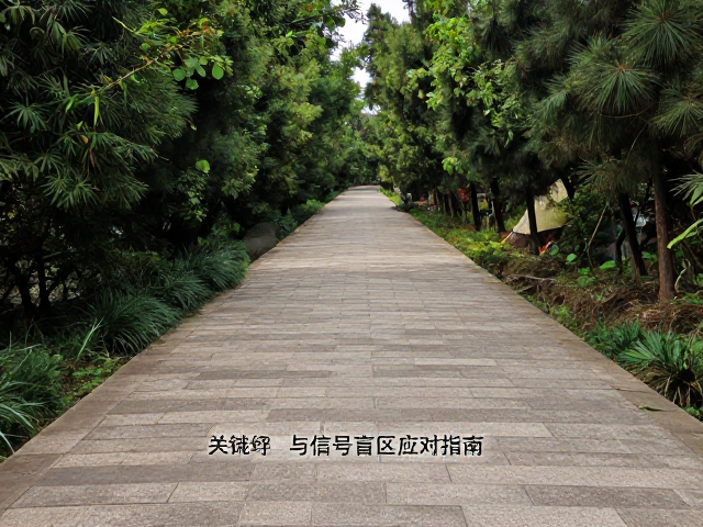 民俗古道骑行攻略,广角构图技巧与信号盲区应对指南