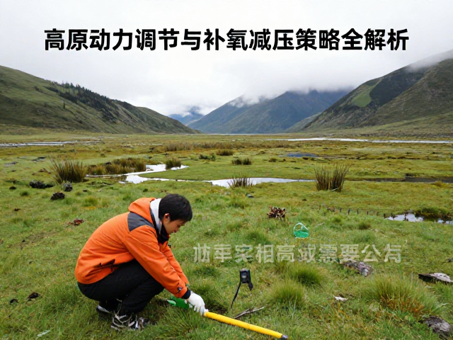云贵高原高山湿地，高原动力调节与补氧减压策略全解析
