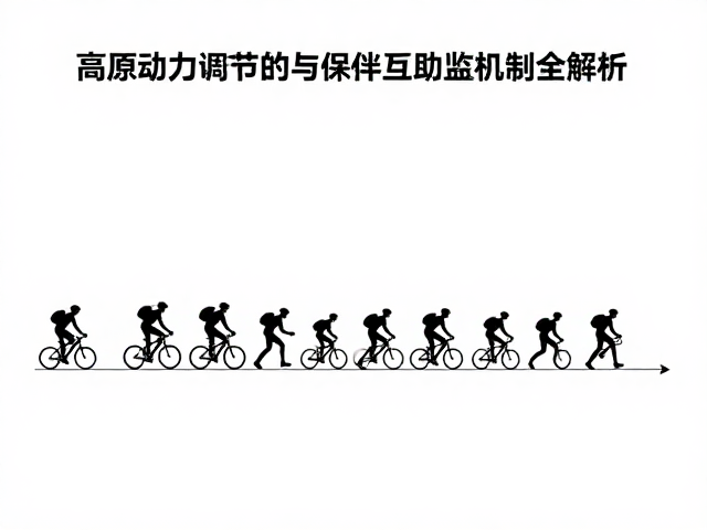 长距离爬坡动力管理,高原动力调节与同伴互助监护机制全解析
